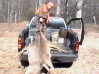 Loading Two Large Deer with One Hand!